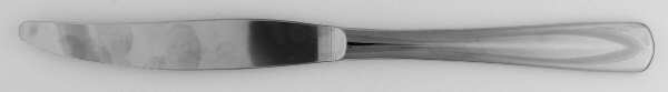 Equator (Stainless) Modern Solid Knife