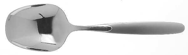 Paradox (Stainless) Solid Smooth Casserole Spoon
