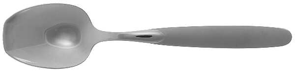 Paradox (Stainless) Sugar Spoon