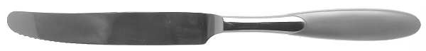 Paradox (Stainless) New French Solid Knife