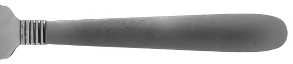 Austere (Stainless) Fork