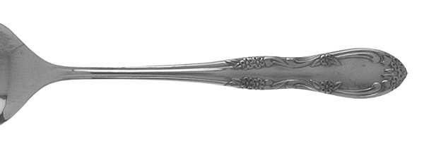 OHS160 (STAINLESS) by Oneida Silver