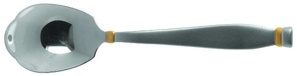 Satin Golden Kensington (Stainless) Sugar Shell Spoon
