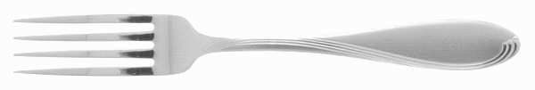 Satin Camber (Stainless) Fork