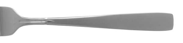 Satin Accent (Stainless) by Oneida Silver