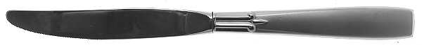 Satin Accent (Stainless) Modern Hollow Knife