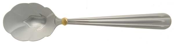 Golden Unity Sugar Shell Spoon