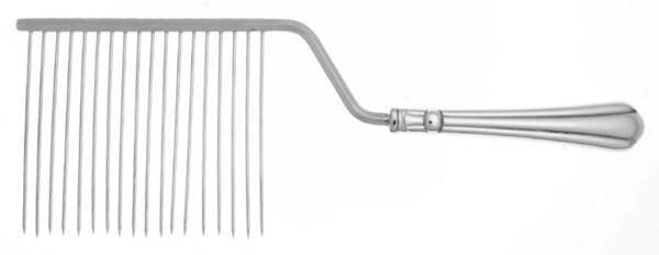 Tripoli (Stainless) Cake Breaker with Silverplate Prongs HC