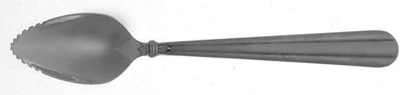 Tennyson-Frosted (Stainless) Fruit/Orange Spoon