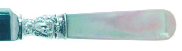 Pearl Handle Flatware 2 (Sterling) by Oneida Silver
