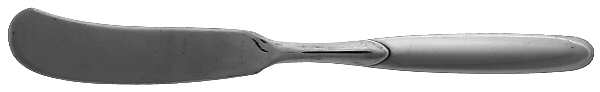 Paradox (Stainless) Flat Handle Butter Spreader
