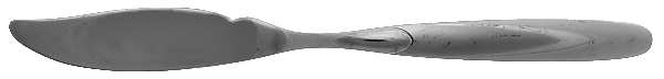 Paradox (Stainless) Individual Solid Fish Knife