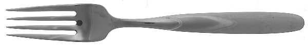 Paradox (Stainless) Fork