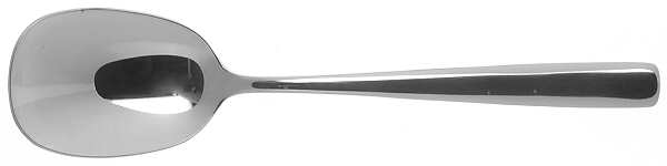 Strauss (Stainless, Plain) Sugar Spoon