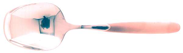 Paradox (Stainless, Gold Accent) Solid Smooth Casserole Spoon