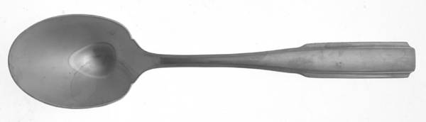 Satin Fremont (Stainless) Sugar Spoon