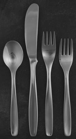 Pinch (Stainless) 4 Piece Place Setting