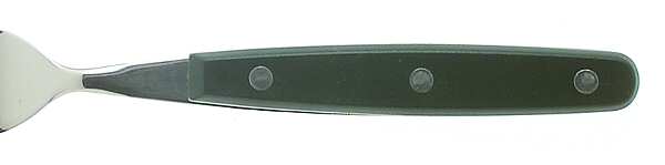 Color Trends-Hunter Green (Stainless, Plastic) by Oneida Silver