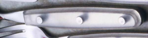 Iced Color Trends-Frost (Stainless, Plas) by Oneida Silver