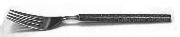 OXH120 (Stainless) Fork