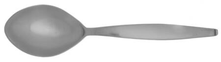 Danube (Stainless) Solid Smooth Casserole Spoon