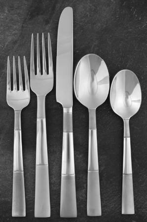 Echo (Stainless) 5 Piece Place Setting