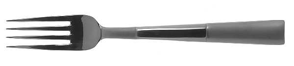 Echo (Stainless) Fork