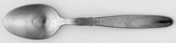 Memoir (Stainless) Teaspoon