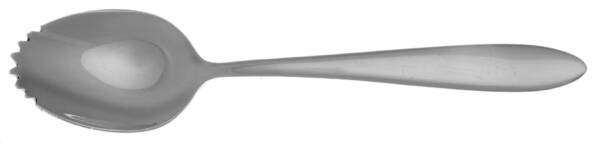 Mooncrest (Stainless) Fruit/Orange Spoon Individual, Serrated Bowl HC