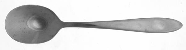 Mooncrest (Stainless) Sugar Spoon