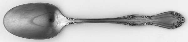 OHS260 (Stainless) Teaspoon