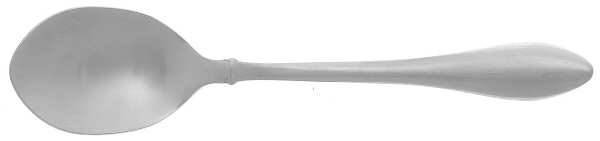 Jackson (Stainless) Sugar Spoon