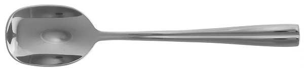 Rondel (Stainless) Sugar Spoon