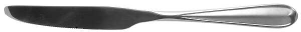Dylan (Stainless) New French Solid Knife
