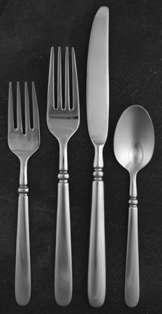 Eastview (Stainless) 4 Piece Place Setting