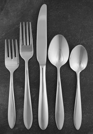 Trista (Stainless) 5 Piece Place Setting