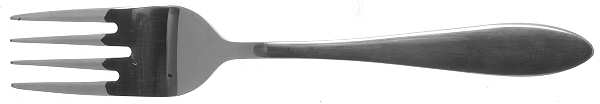 Trista (Stainless) Individual Salad Fork