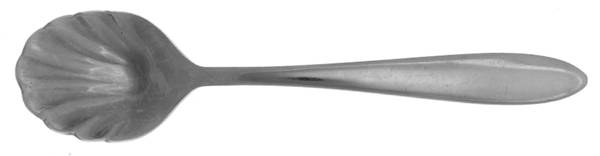 Trista (Stainless) Sugar Shell Spoon