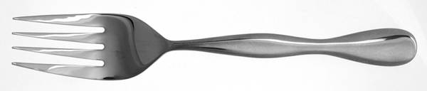 Tercet (Stainless) Medium Solid Cold Meat Serving Fork
