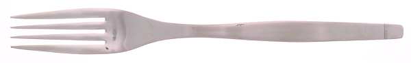 Sling (Stainless) Fork