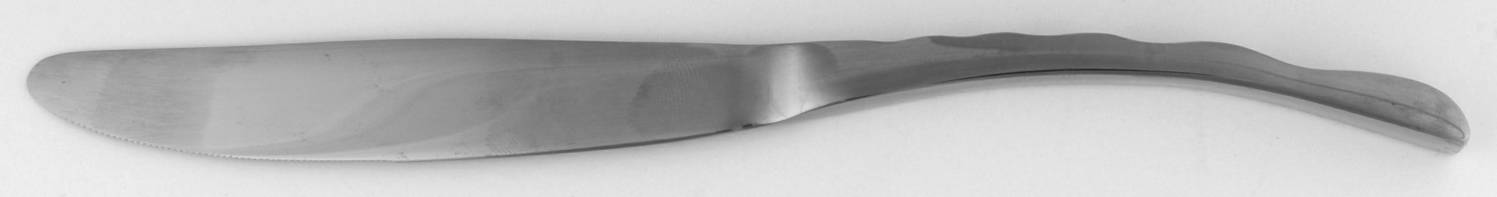 Enterprise (Stainless) by Oneida Silver