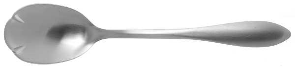 Morrison (Stainless) Sugar Spoon