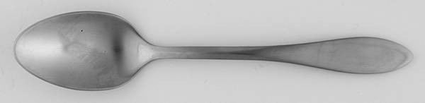 Morrison (Stainless) Teaspoon