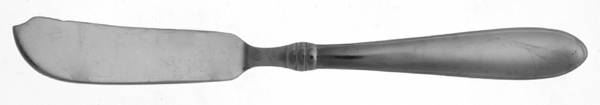 Banbury (Stainless) Flat Handle Master Butter Knife