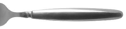 Caroline (Stainless) by Oneida Silver