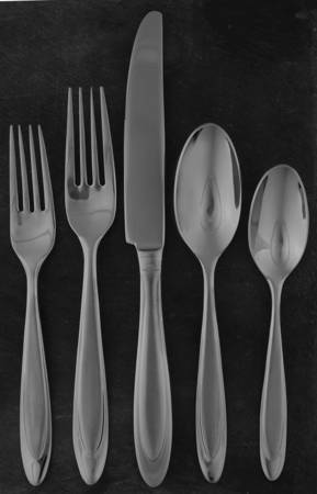 Aurora (Stainless) 5 Piece Place Setting