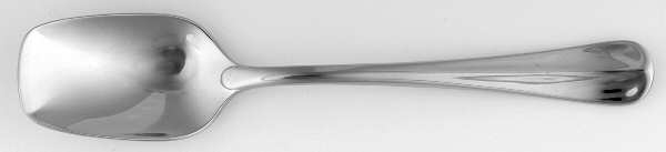 Compose (Stainless) Sugar Spoon