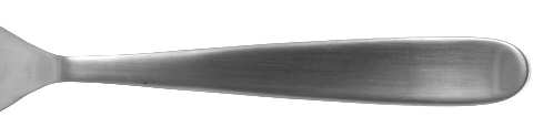 Hallendale Brushed (Stainless) by Oneida Silver