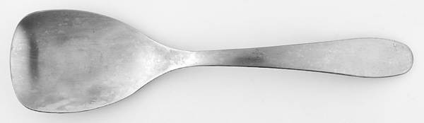 Burton (Stainless) Small Solid Salad Servivng Spoon