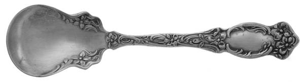 Violet (Slvp, 1905, SL & GH Rogers, Monograms) Sugar Spoon